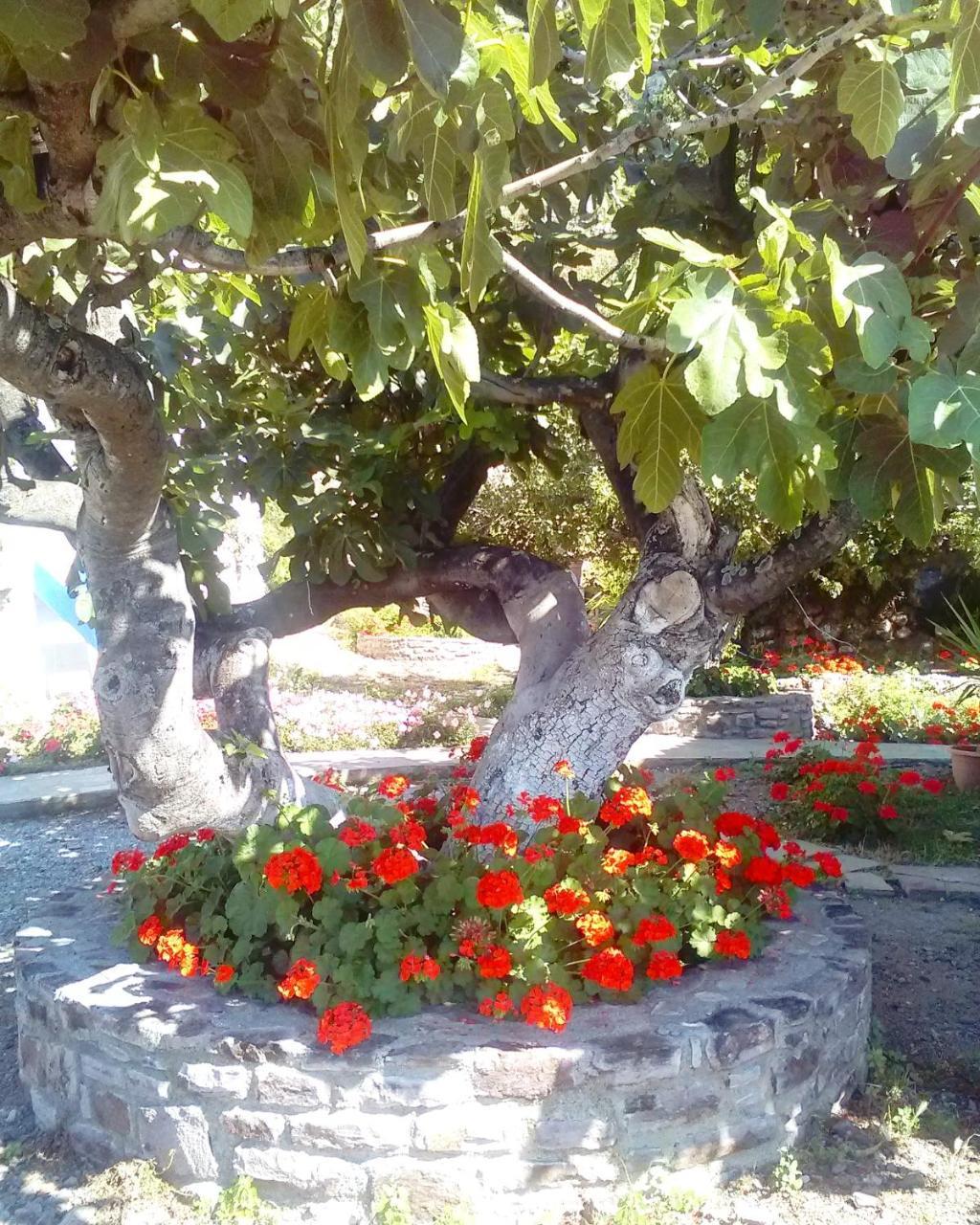 Enalion Apartments Agios Ioannis Kaspaka Esterno foto